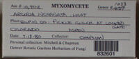 Image Associated With the Occurence
